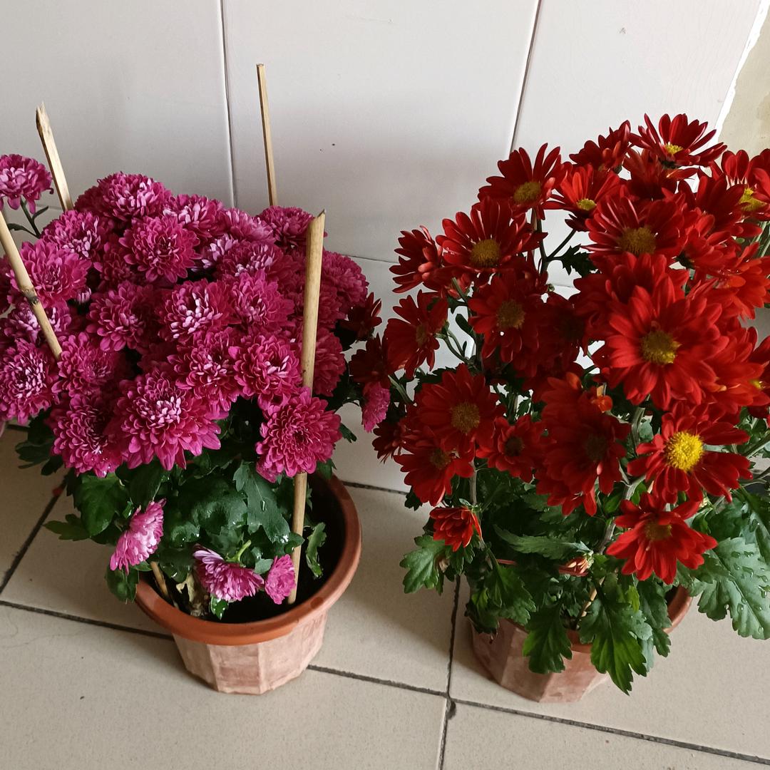 涂先荣