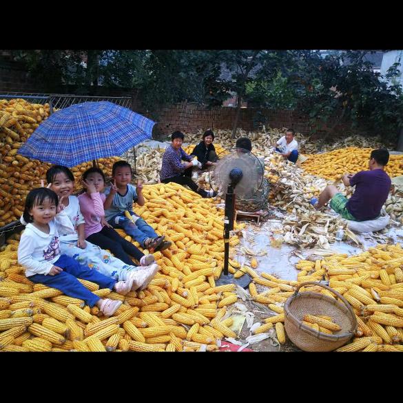 爱吃棒棒糖的小孩