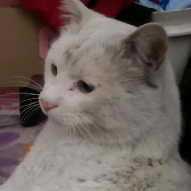 最美淮安