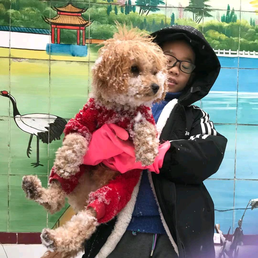 欢儿