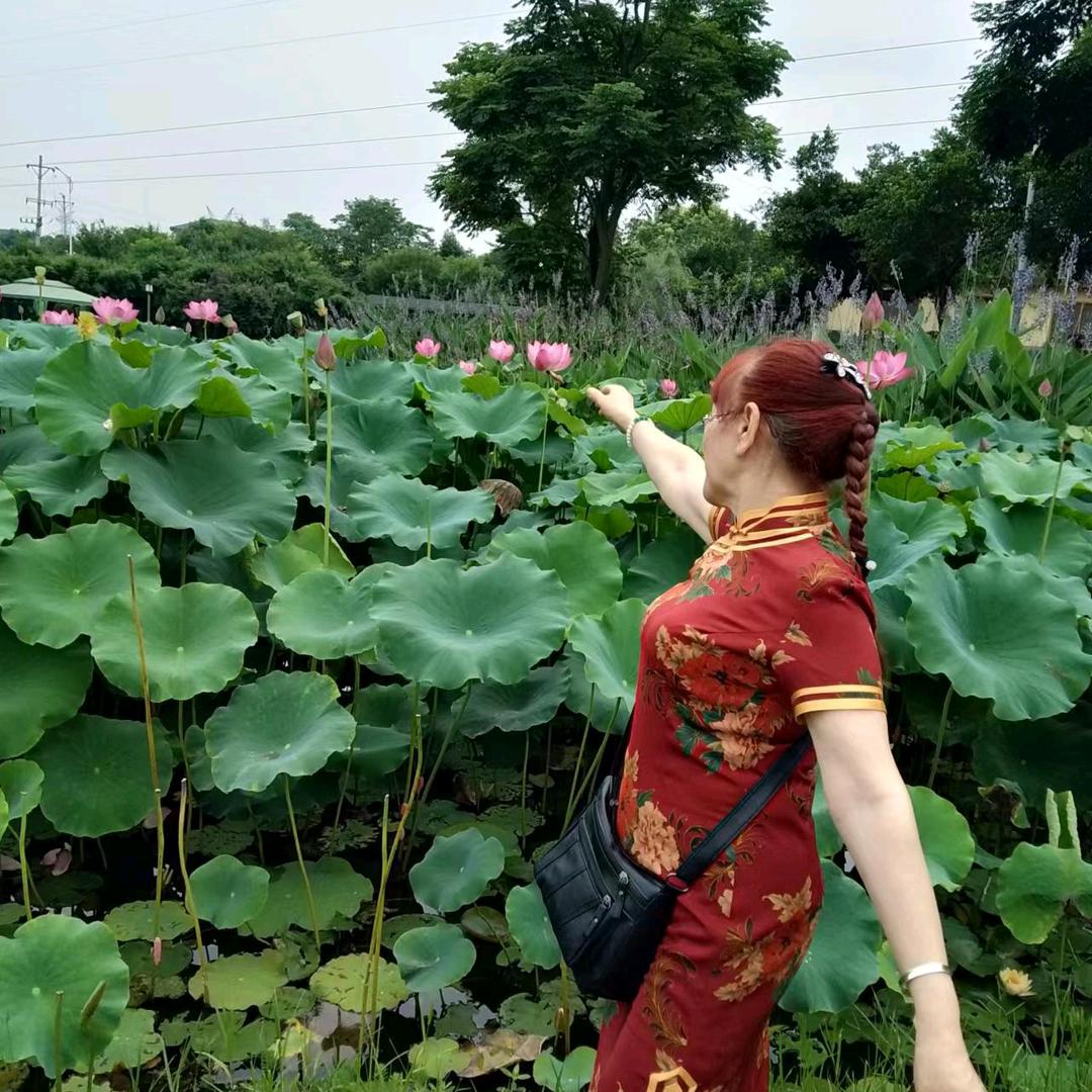 魏姐