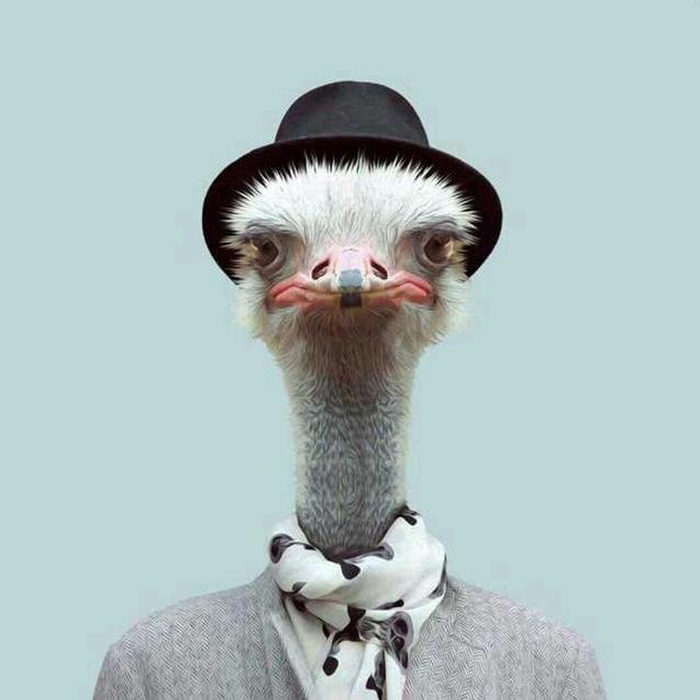 好小伙空前绝后