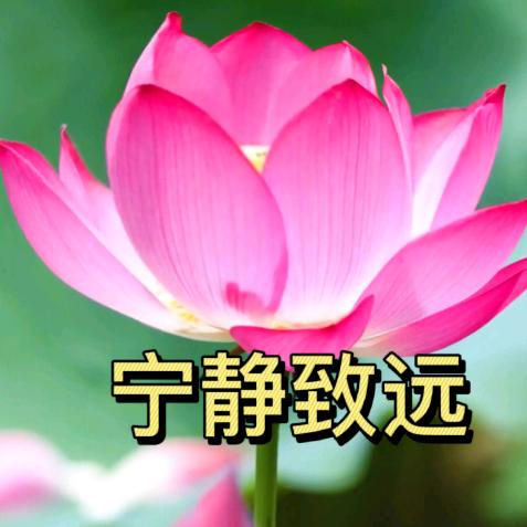 麻将外婆周本兰