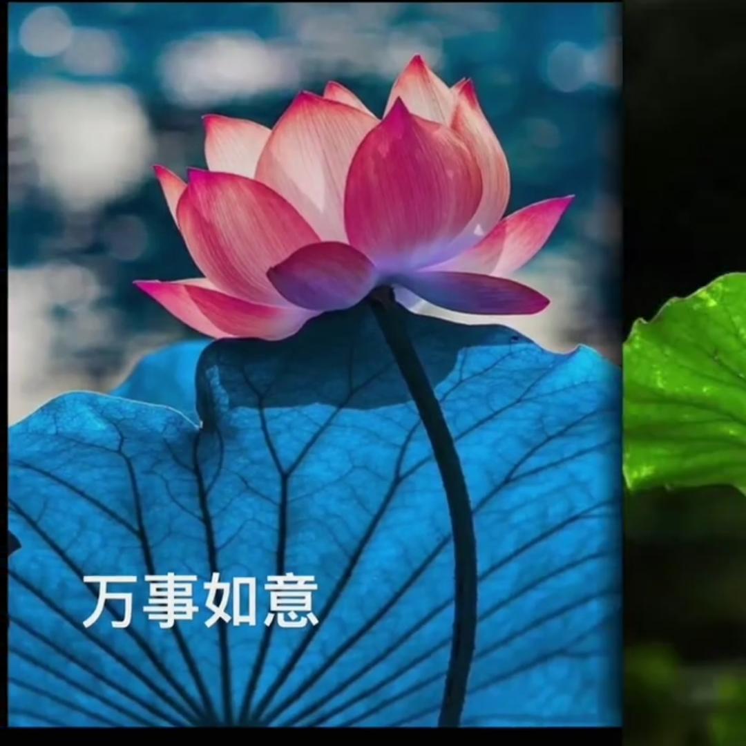 木工田师