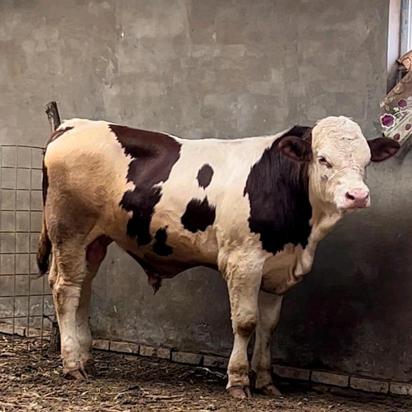 威宁县永诚鑫养殖