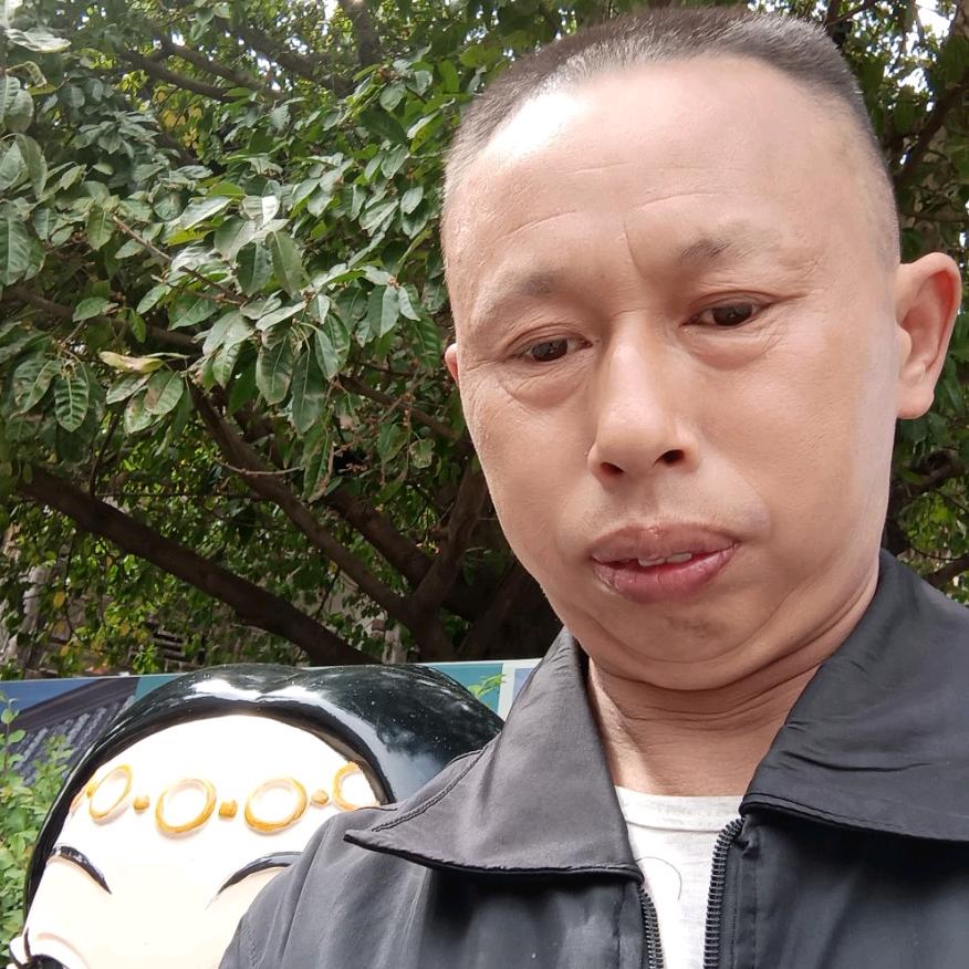 伍顺书