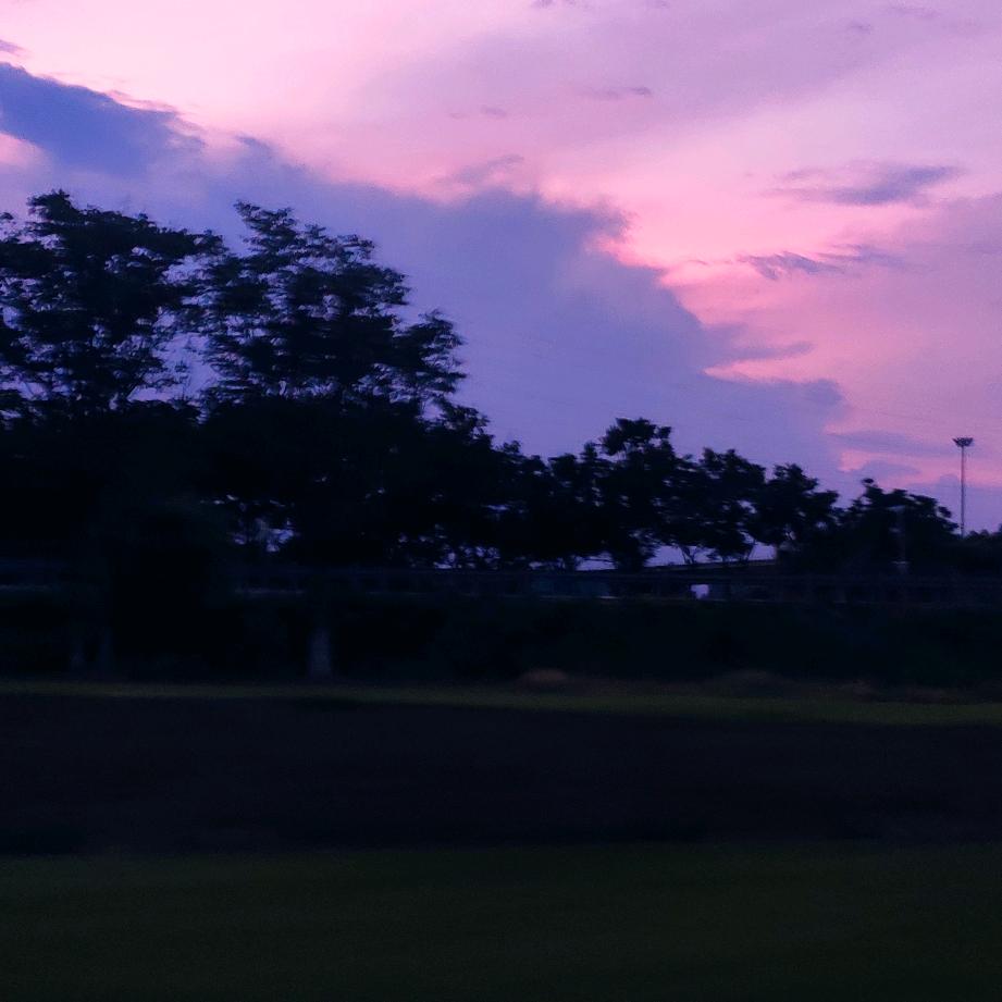 Ronronner（猫打呼噜）