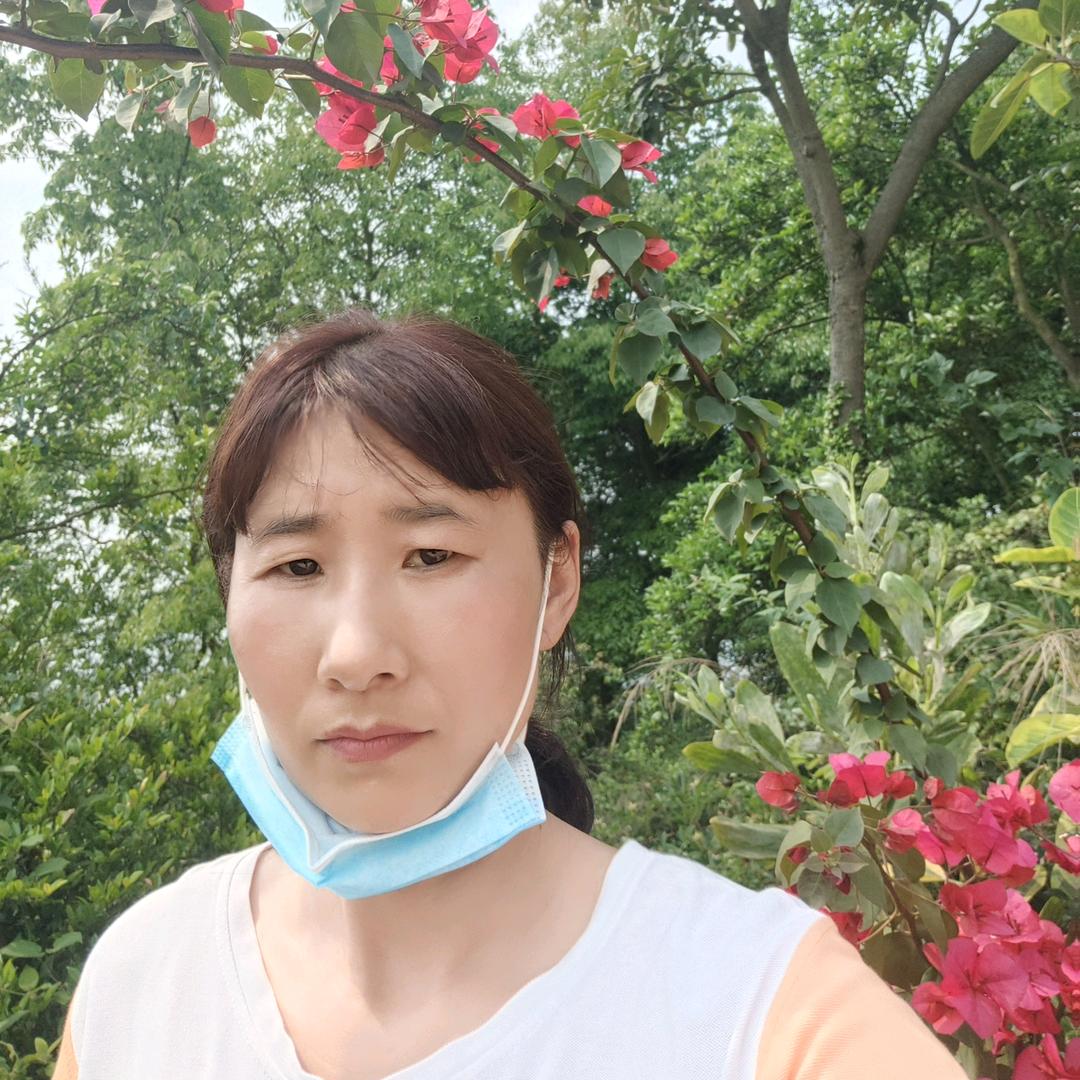 🌸平安🌸