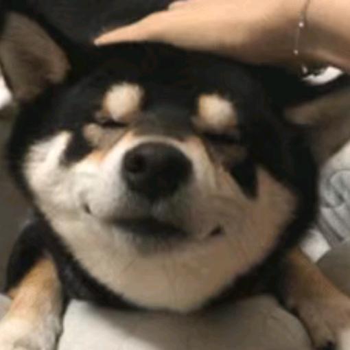 牛老二