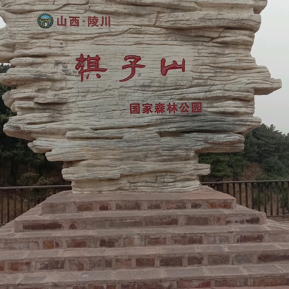 《挪威的森林》