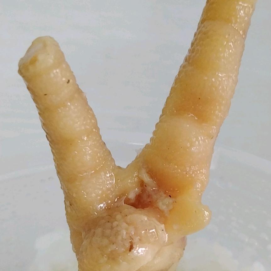 广东郭