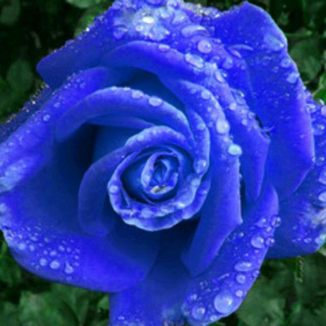 肉孜麦提 衣孜木