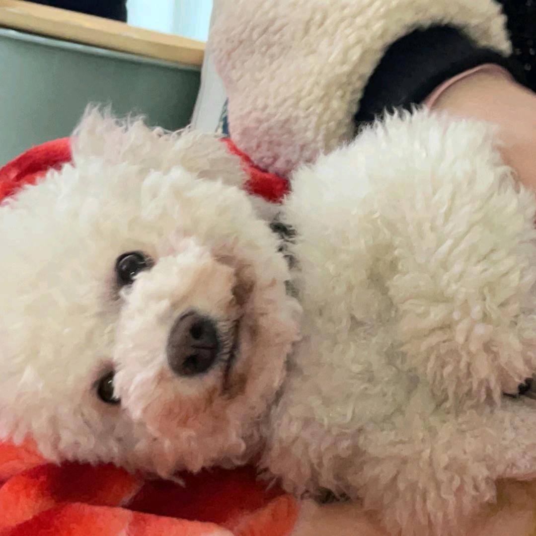 大娇的奇葩生活