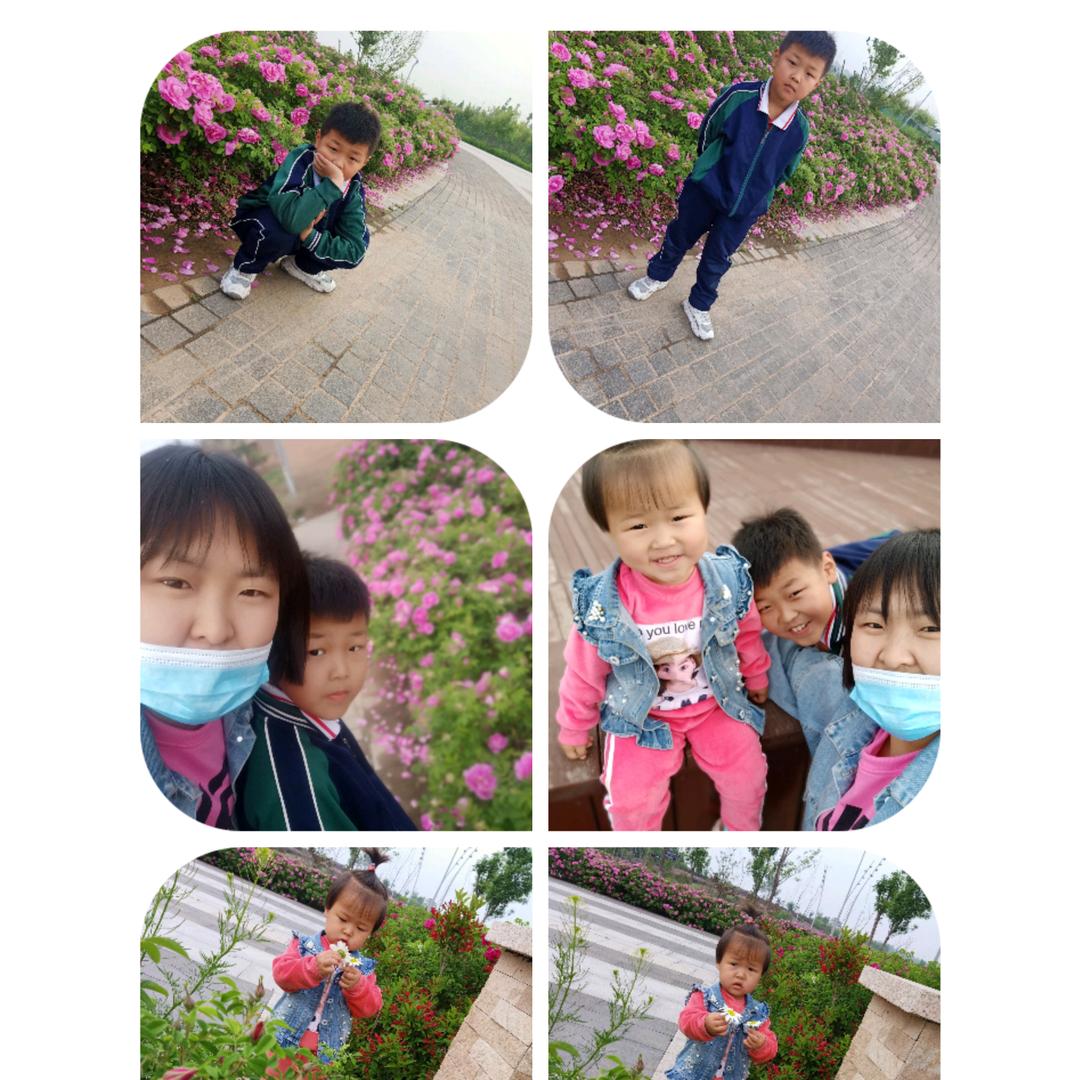 大土豆