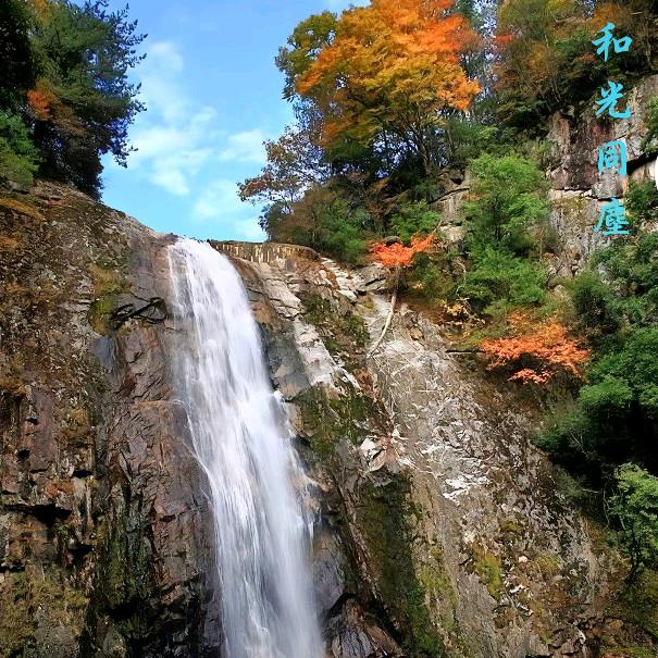 丽ོ丽ོ（接ོ受ོ私ོ聊ོ）