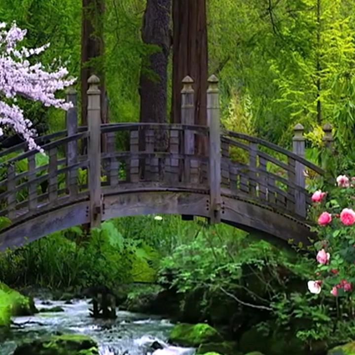 不放弃一分一秒