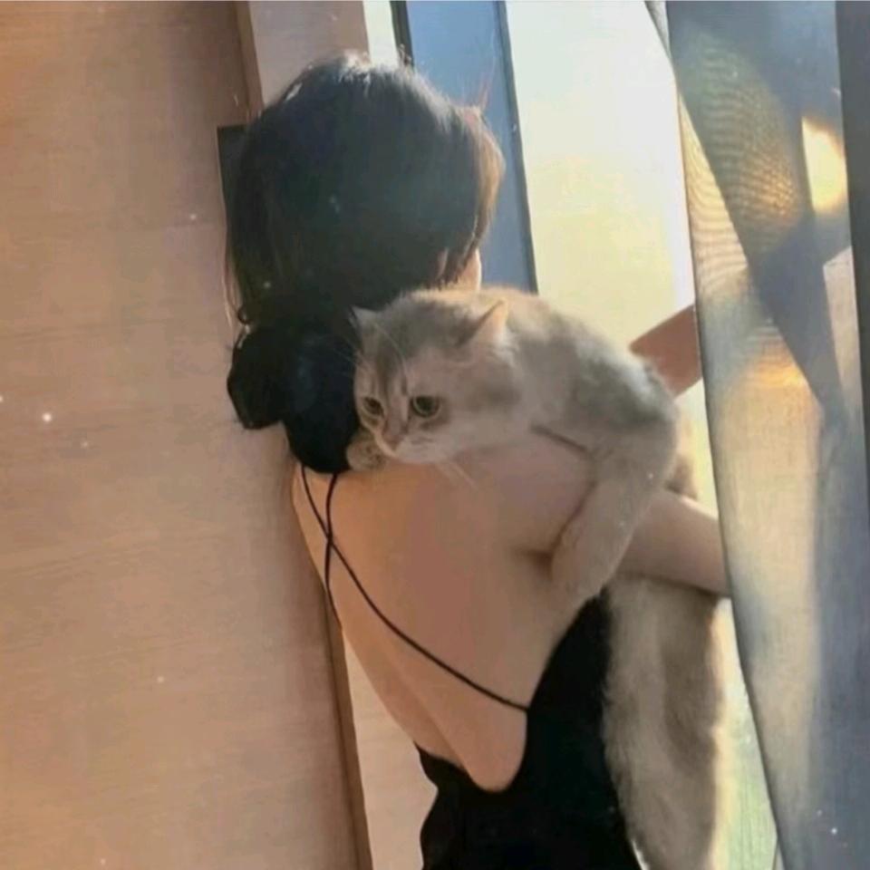 奶糖✨