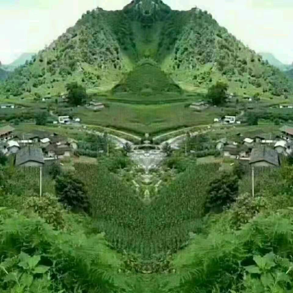 天天喜欢你