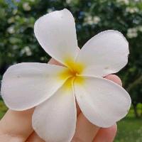 红(乐汇大酒店&无锡中旅)