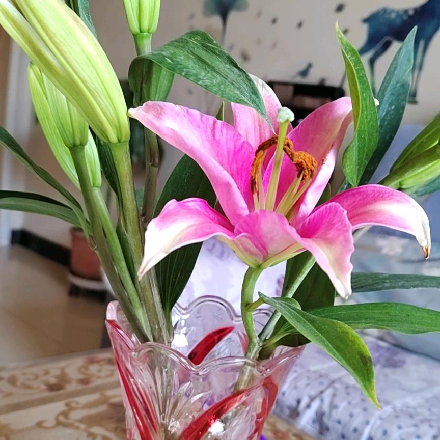 快乐美好