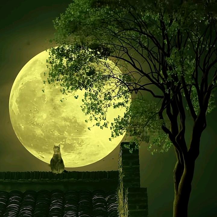 手竿钓不到用路亚