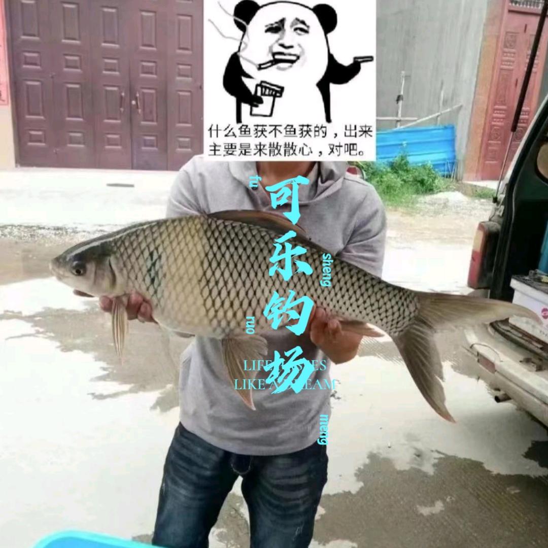 可乐钓场
