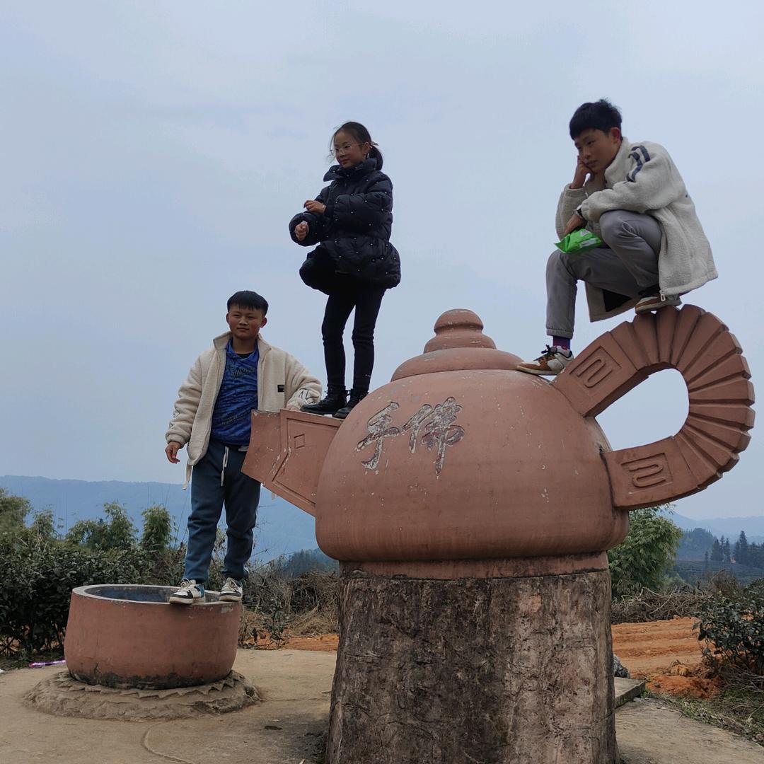 @君山永新畜牧服务三农产品。