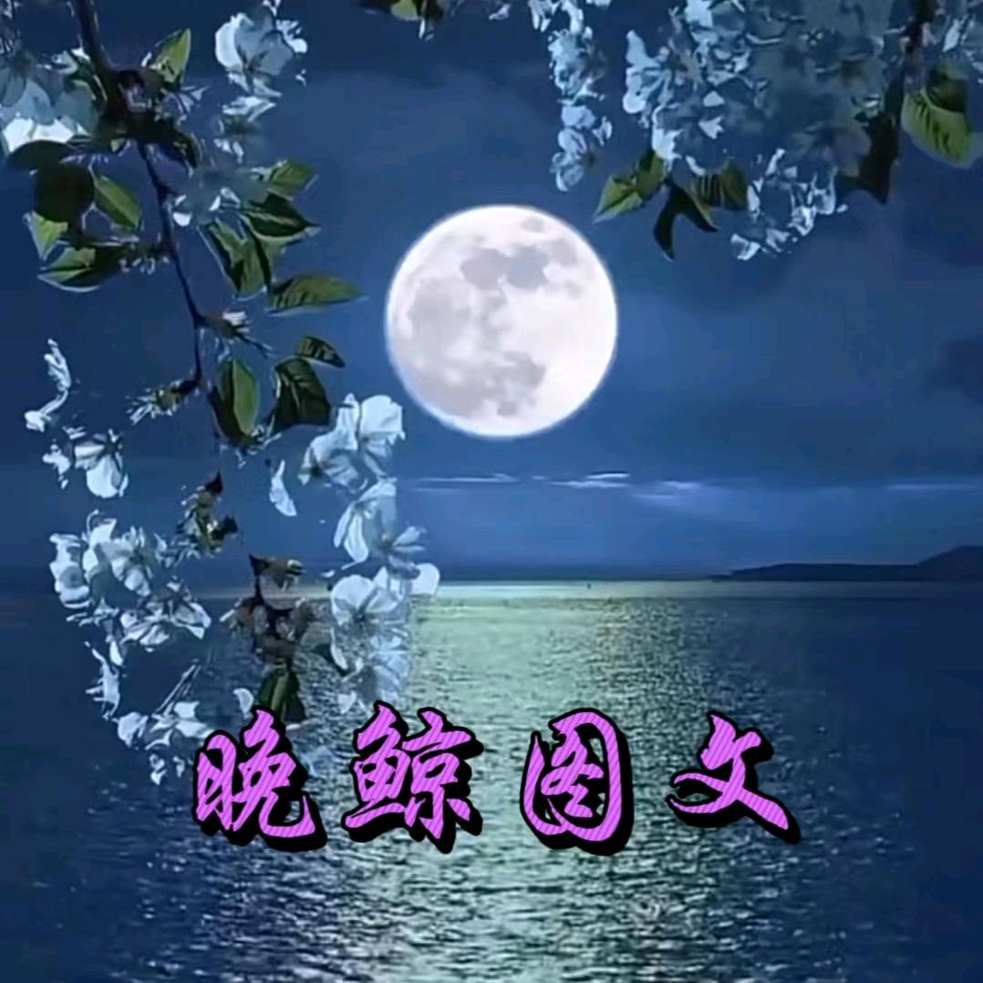 晚鲸图文