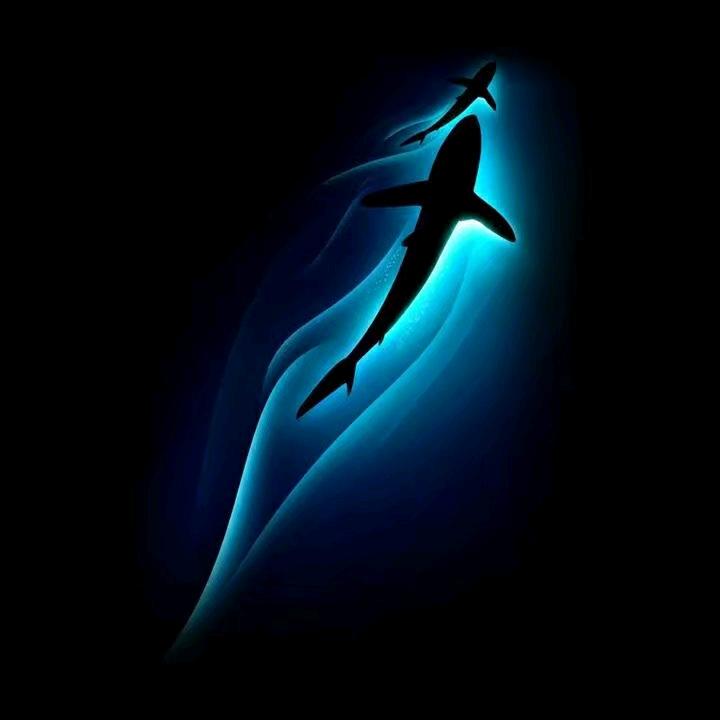 你大爷特别霸气！