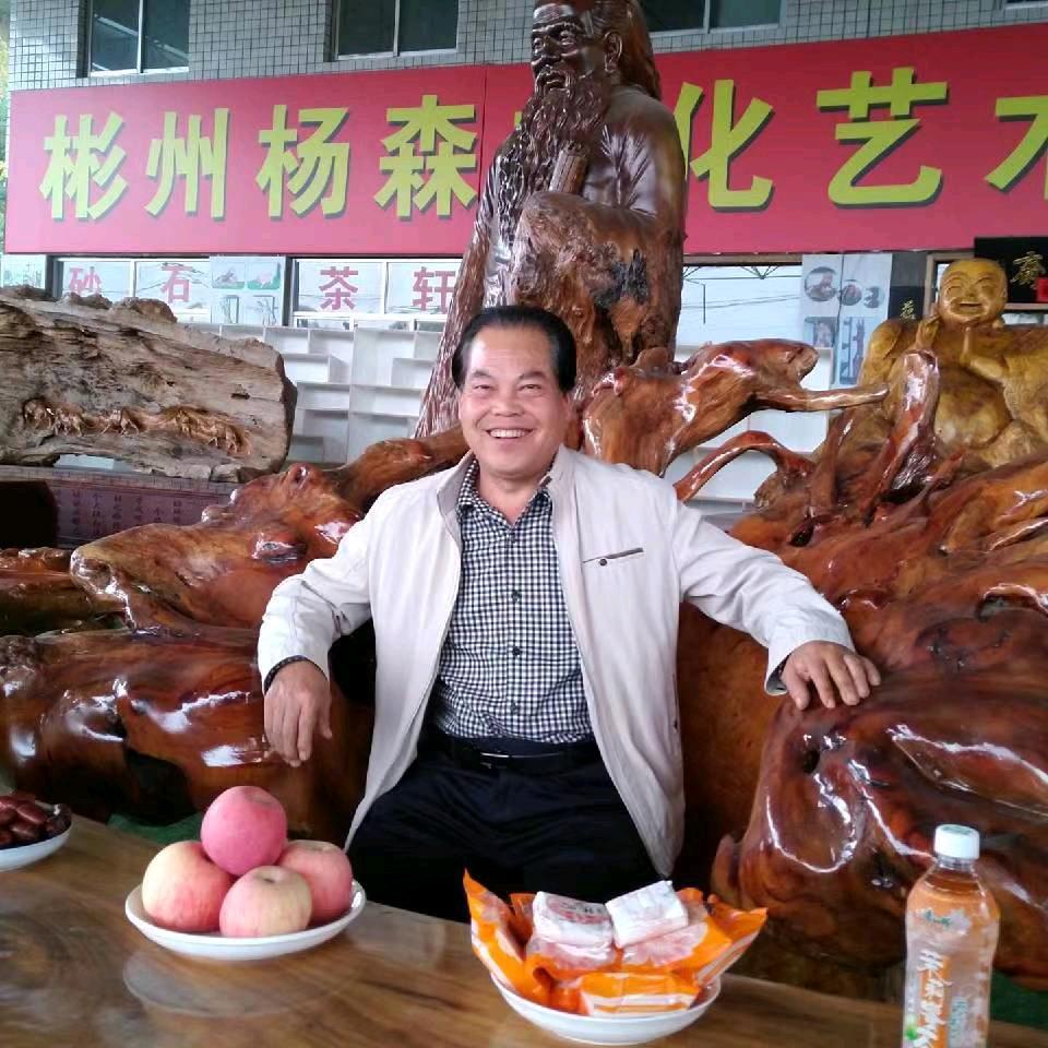 彬州市杨森文化艺术产