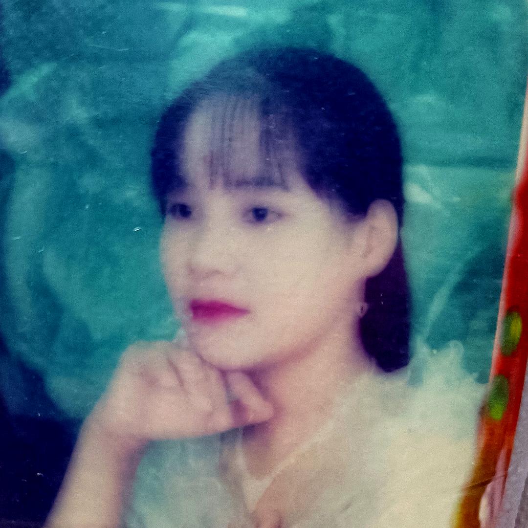 暗香疏影