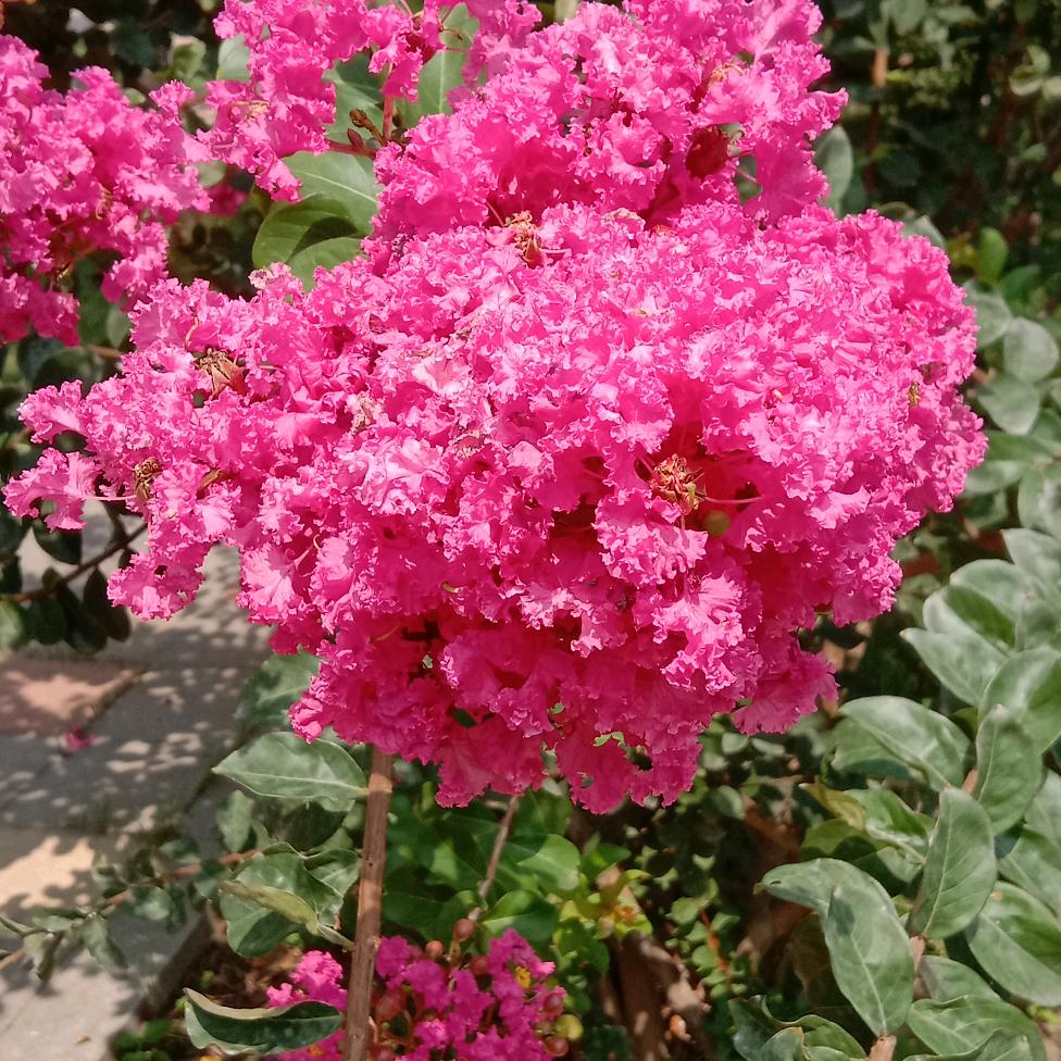 缘分