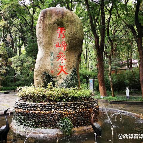 刘伟