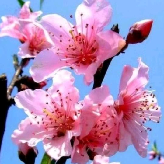 来日方长