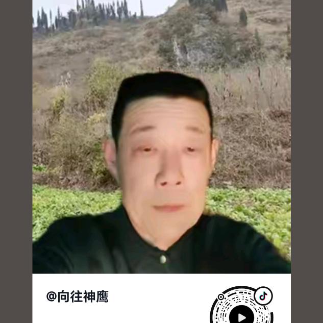 向往神鹰