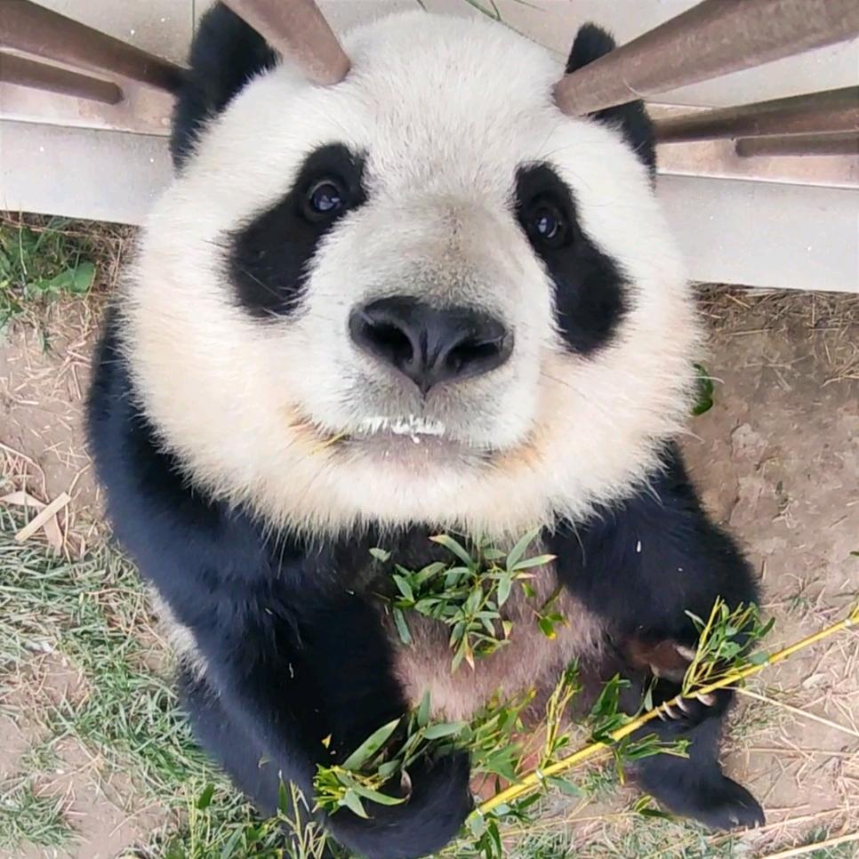 左先生不姓左