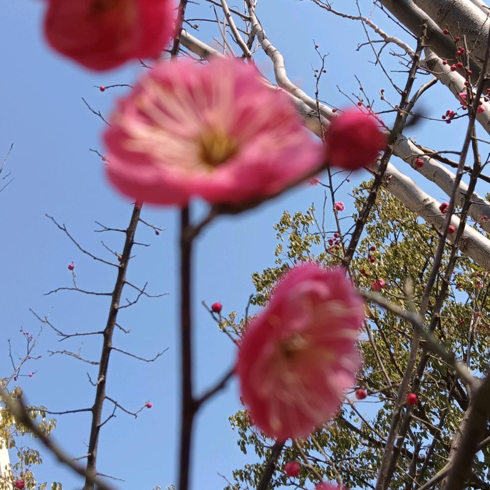 德立物华天宝