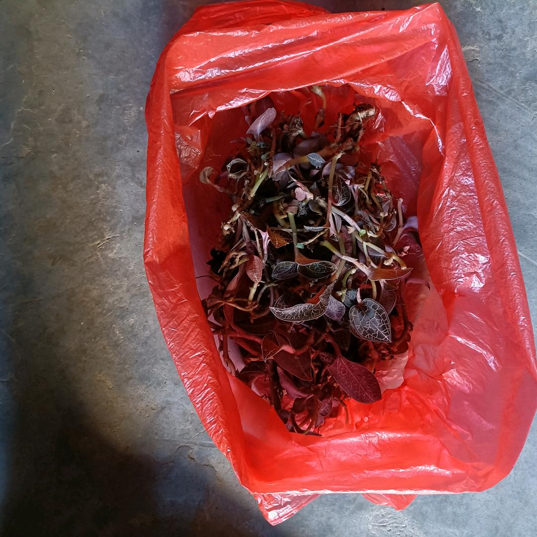 快乐一生🍎🍓