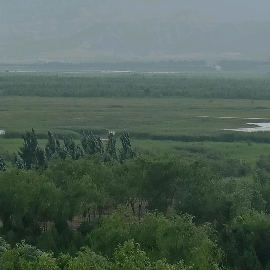 防盗门顾问，龙哥