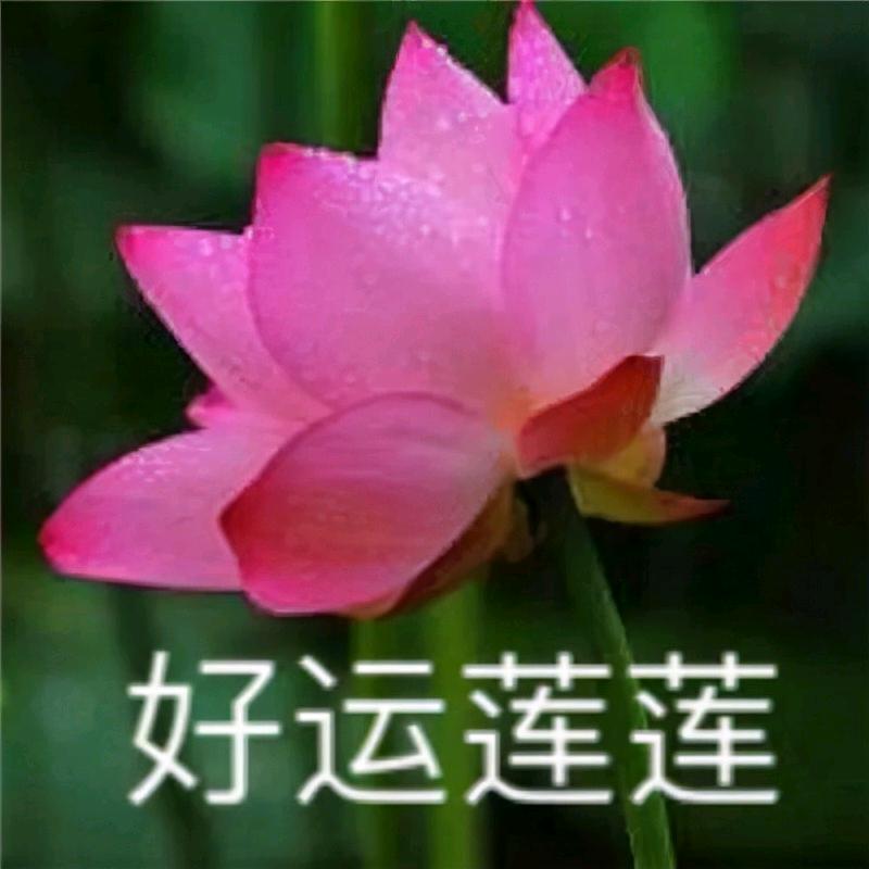 花开富贵1990
