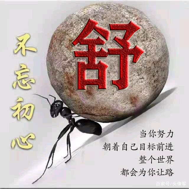雄2锅