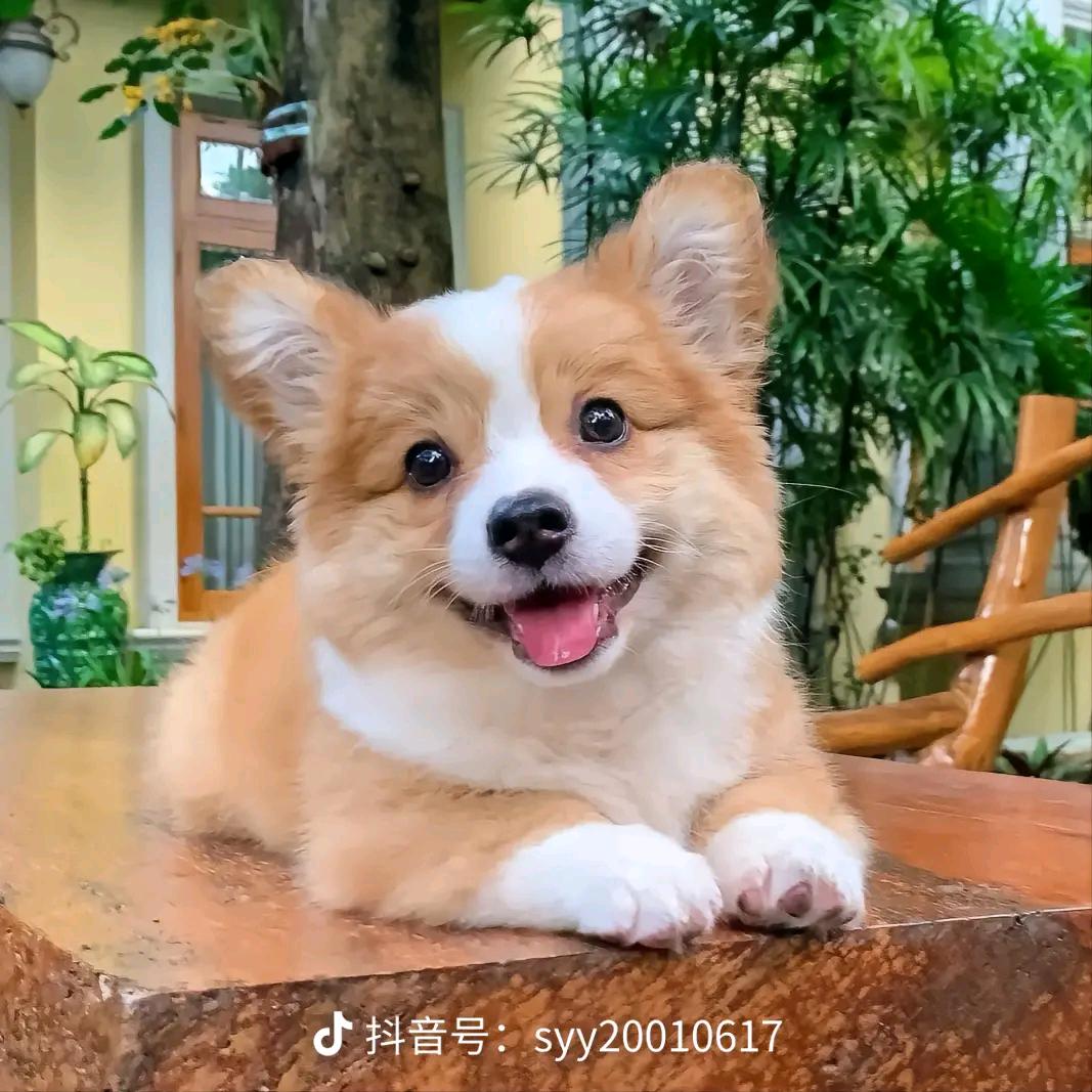 一个月亮(仲哥)