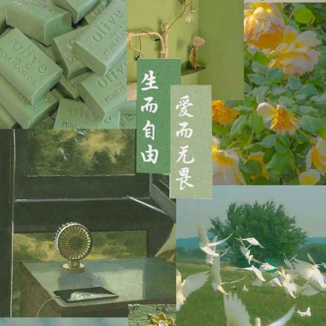 新生活丶