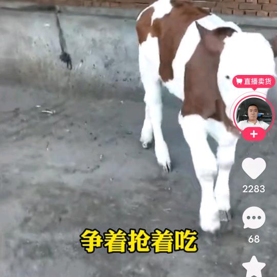 你通讯录好友