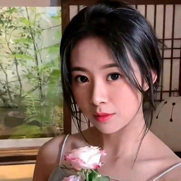 中卫窗帘丹丹