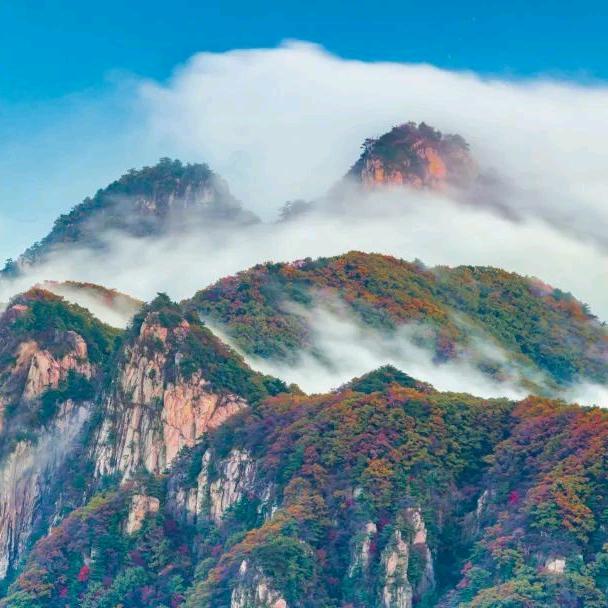 鲁山本地游