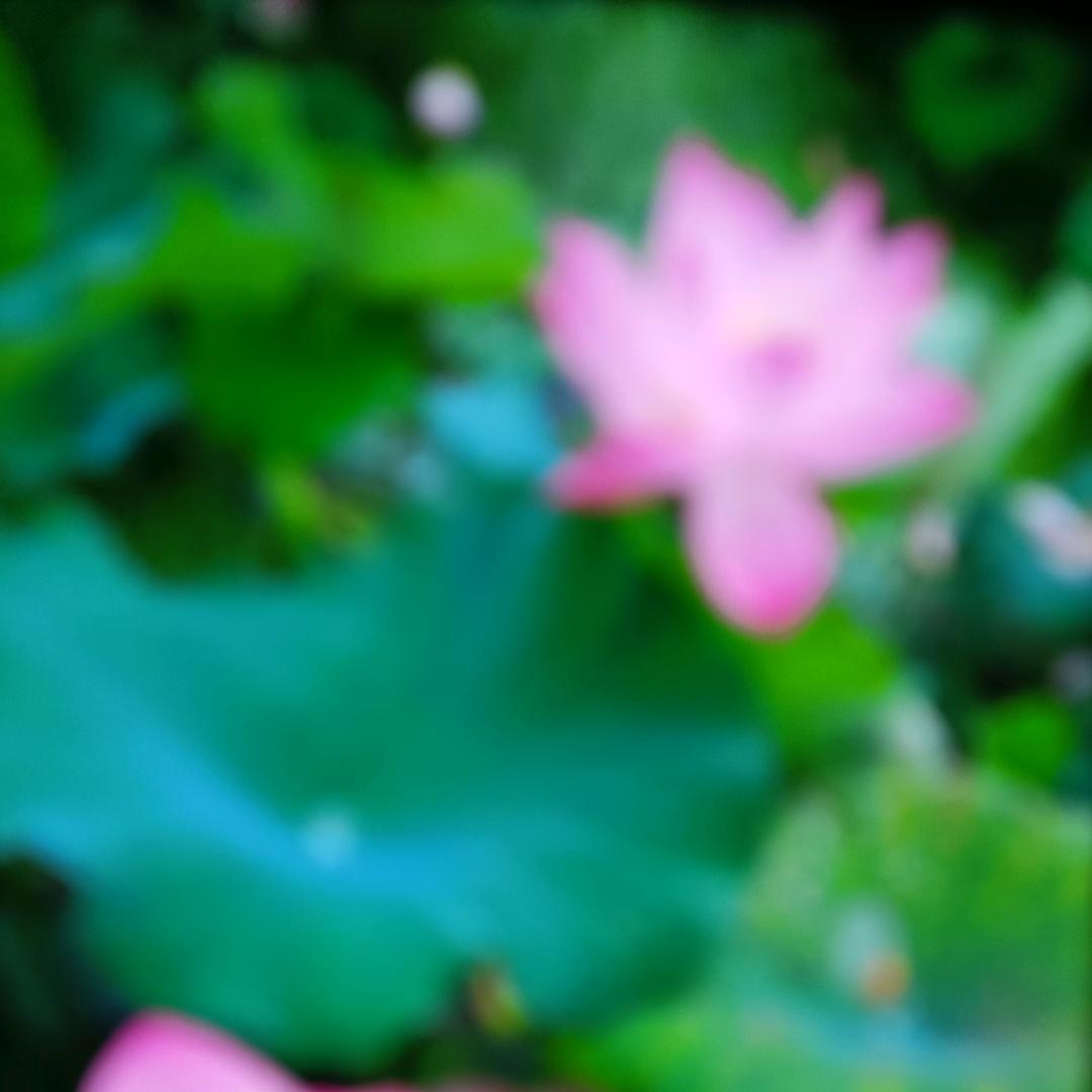 ꪋꪆ꫁⁵²⁰余生🎀安好꧔᭄