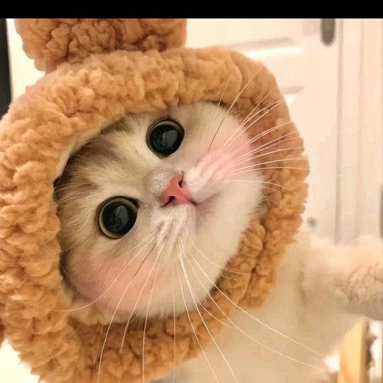 京山吃喝玩乐行攻略