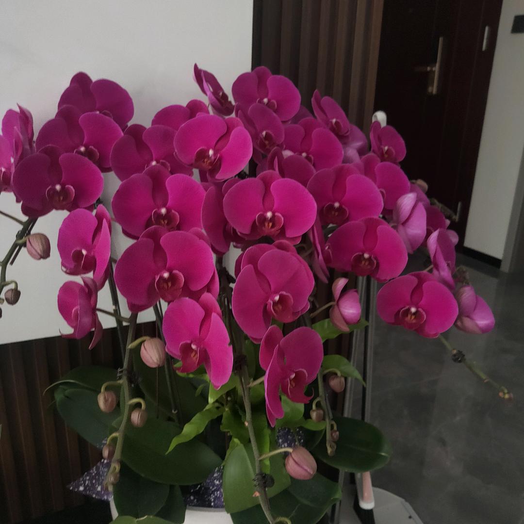 知足常乐🌹🌞舒城姐🔥