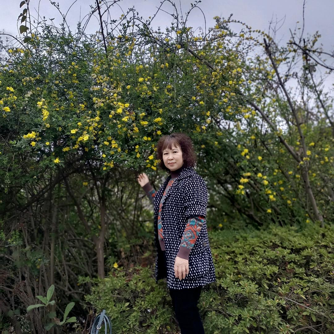 贺雅丽